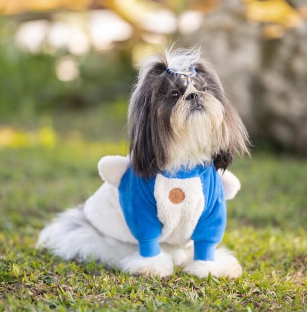 T-shirt Urso - Imagem 6