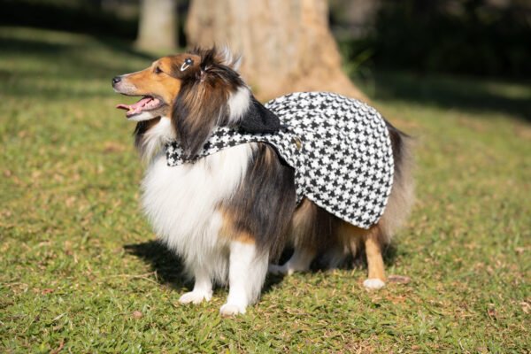 Vestido Xadrez - Imagem 4
