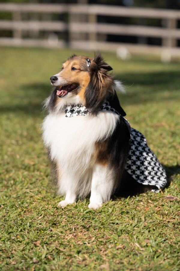 Vestido Xadrez - Imagem 3