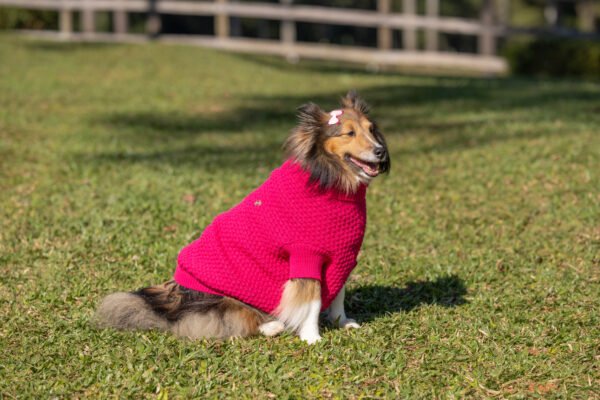 Blusa Básica de Tricot - Imagem 4