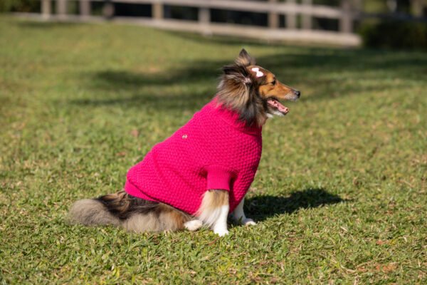 Blusa Básica de Tricot - Imagem 5