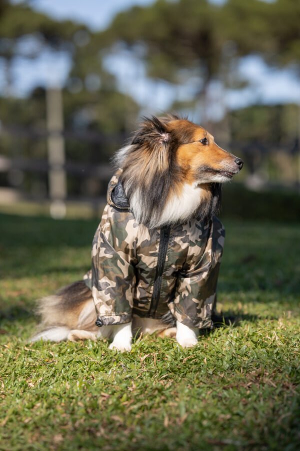 Jaqueta Azure Militar - Imagem 3