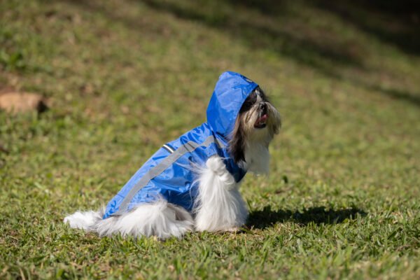 Capa de Chuva - Imagem 7
