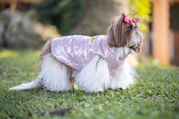Jacket Paete - Imagem 5
