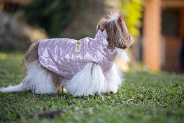 Jacket Paete - Imagem 4