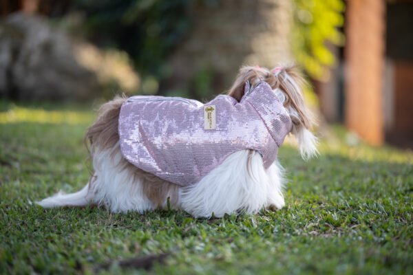 Jacket Paete - Imagem 3