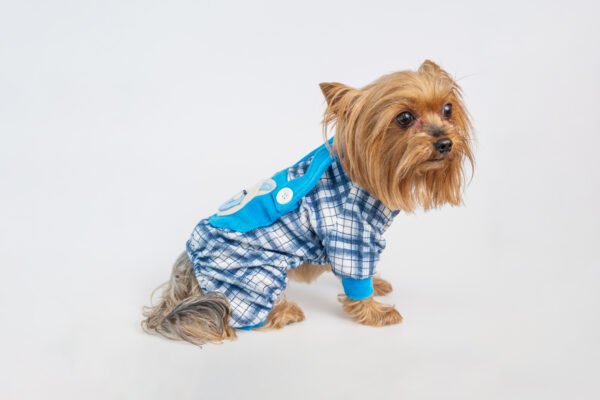 Pijamas - Imagem 9