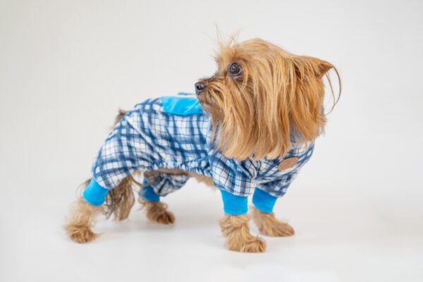 Pijamas - Imagem 8