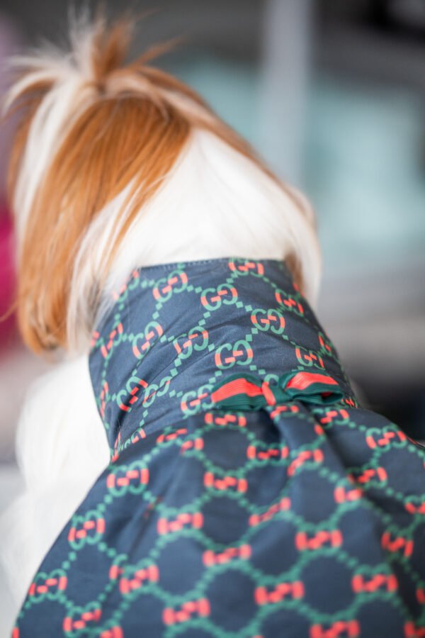 Vestido Fashion Gucci - Imagem 11