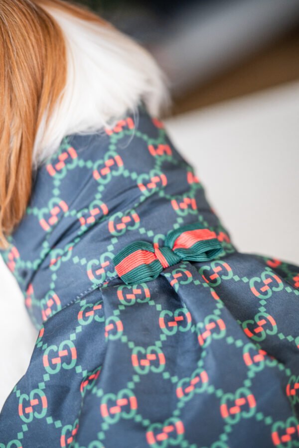Vestido Fashion Gucci - Imagem 10