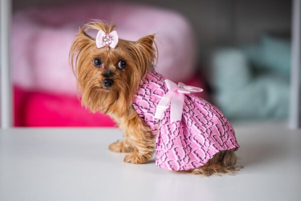 Vestido Fashion Dior - Imagem 2