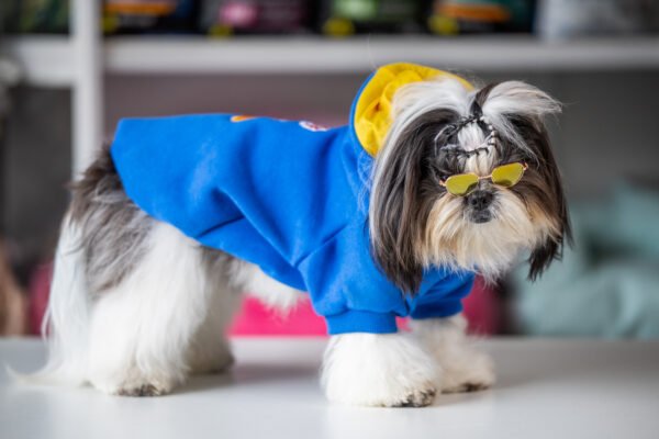 Moletom Ruff - Imagem 2