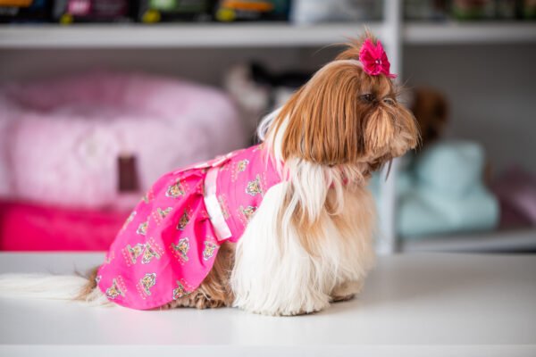 Vestido Fashion Gucci - Imagem 3