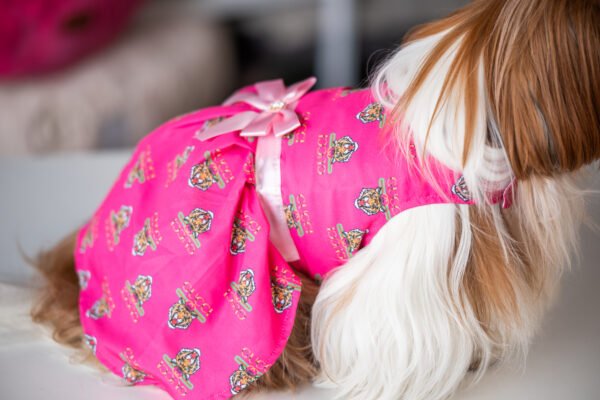 Vestido Fashion Gucci