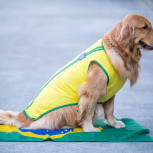 Regata Brasil