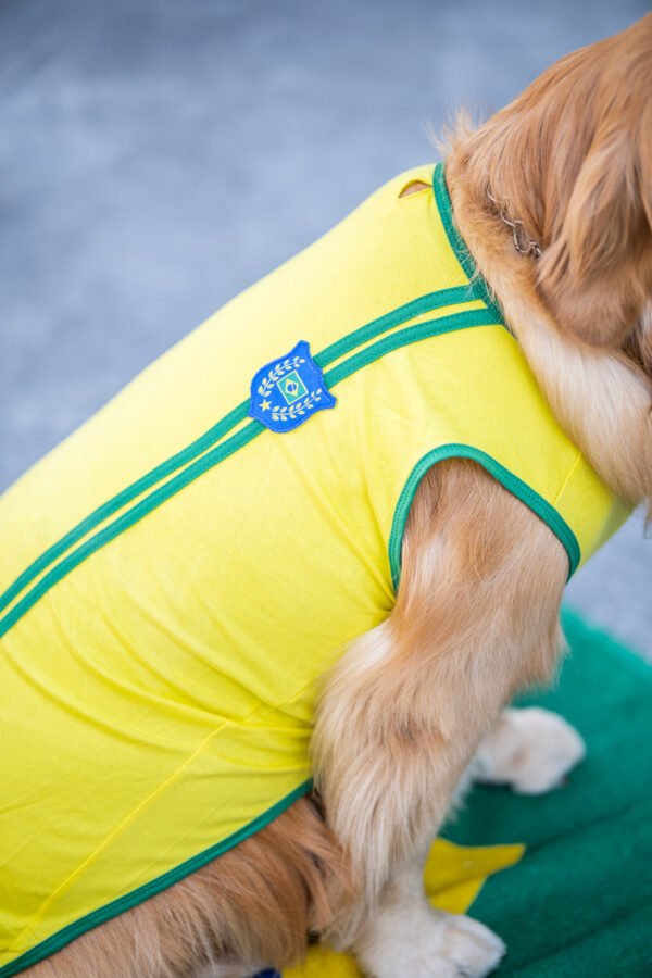 Regata Brasil - Imagem 2