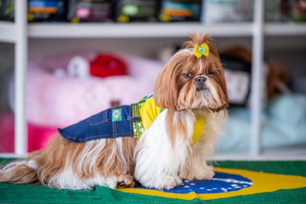 Minissaia e Regata Brasil - Imagem 5