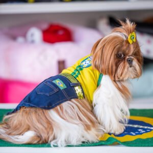 Minissaia e Regata Brasil