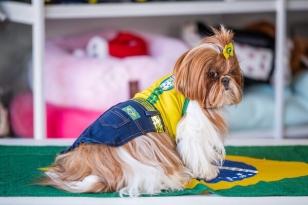 Minissaia e Regata Brasil