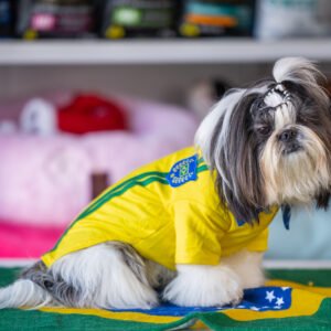 Polo Brasil