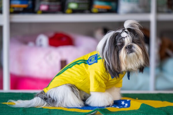 Polo Brasil