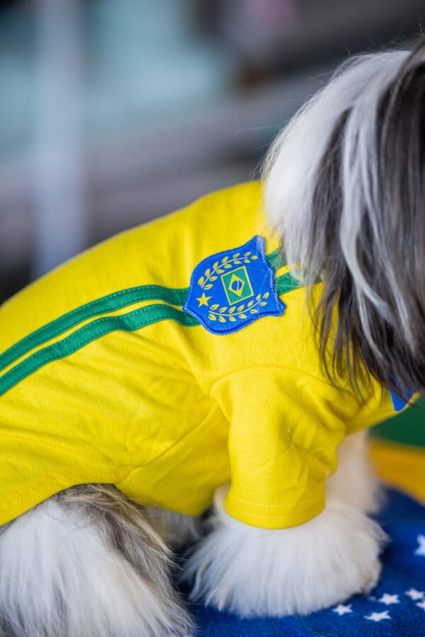 Polo Brasil - Imagem 2