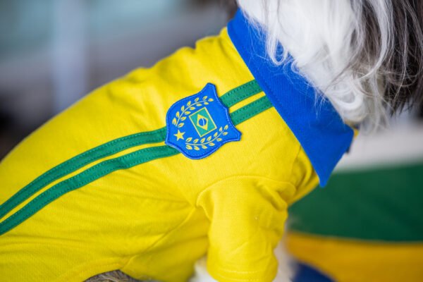 Polo Brasil - Imagem 3