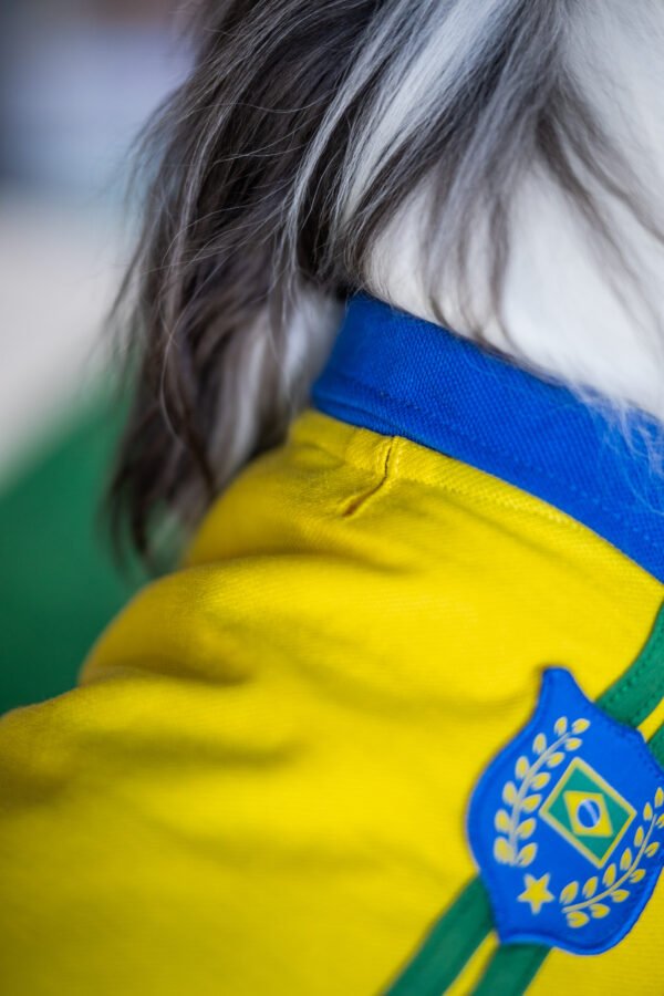 Polo Brasil - Imagem 5