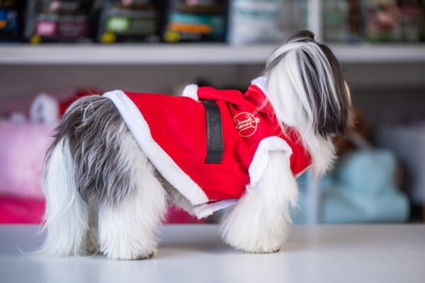 Capa Natal - Imagem 3