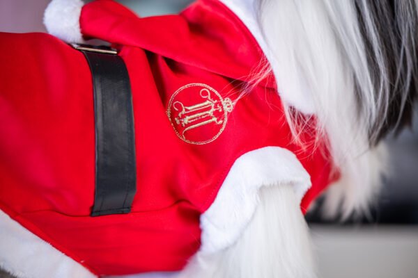 Capa Natal - Imagem 2