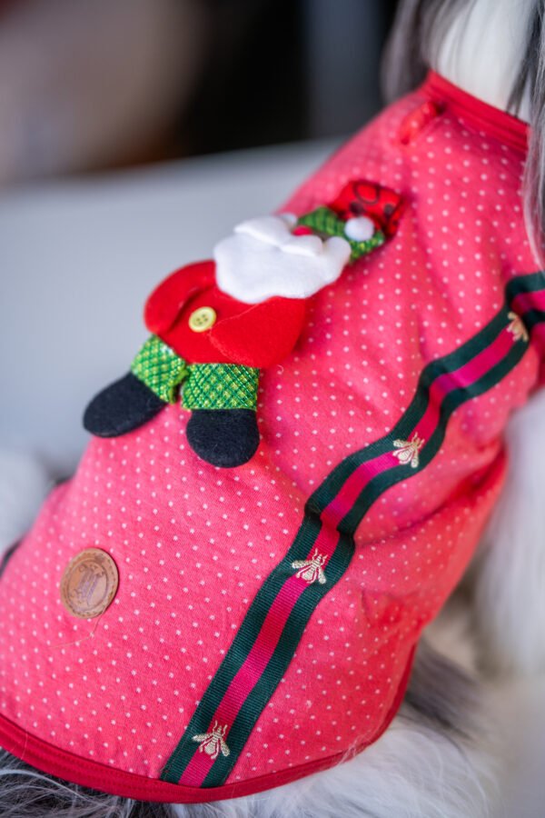 Regata Natal