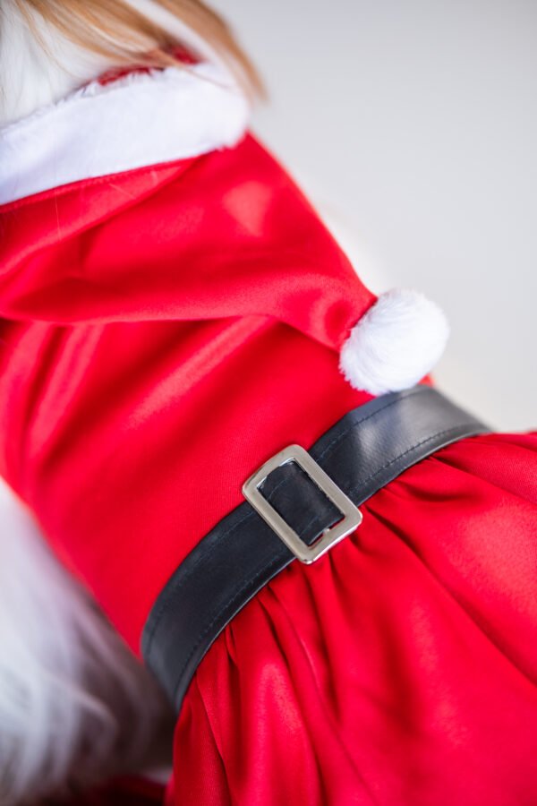 Vestido Natal com Gorro - Imagem 3