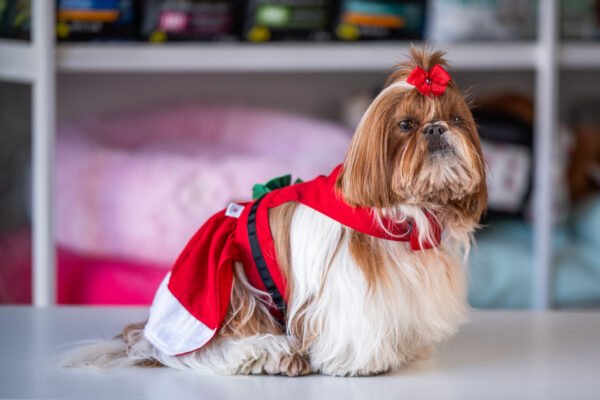 Vestido Natal - Imagem 3