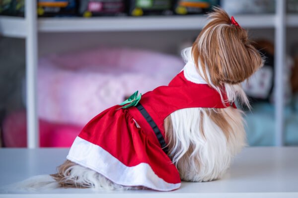 Vestido Natal - Imagem 4