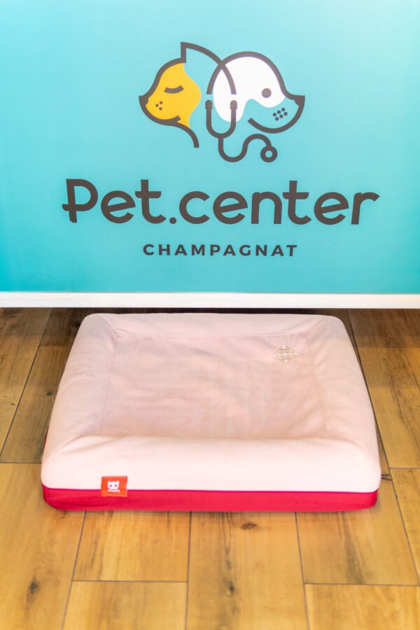 Cama Zee Dog - Imagem 3