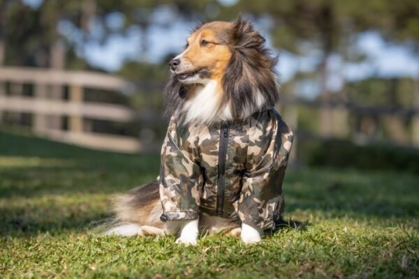 Jaqueta Azure Militar
