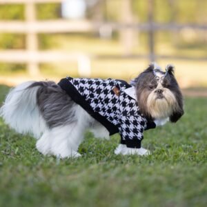 Suéter Tricot com Camisa