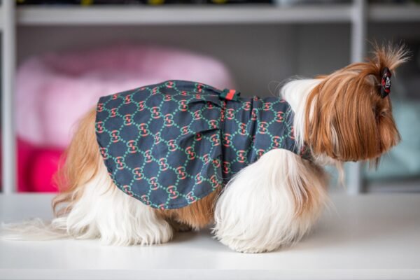 Vestido Fashion Gucci - Imagem 6