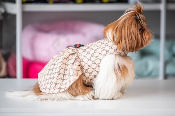 Vestido Fashion Gucci - Imagem 5