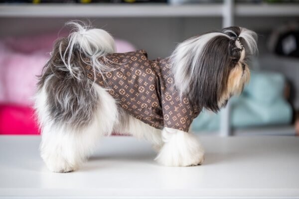 Vestido Fashion Louis Vuitton - Imagem 2
