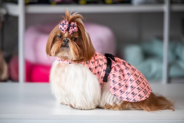 Vestido Fashion Chanel
