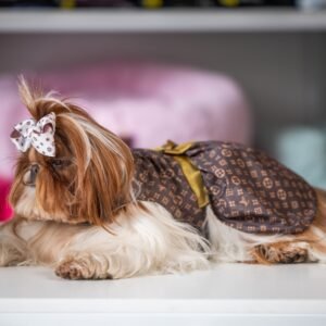 Vestido Fashion Louis Vuitton