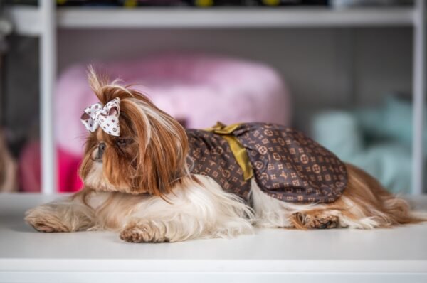 Vestido Fashion Louis Vuitton