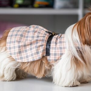 Vestido Fashion Burberry