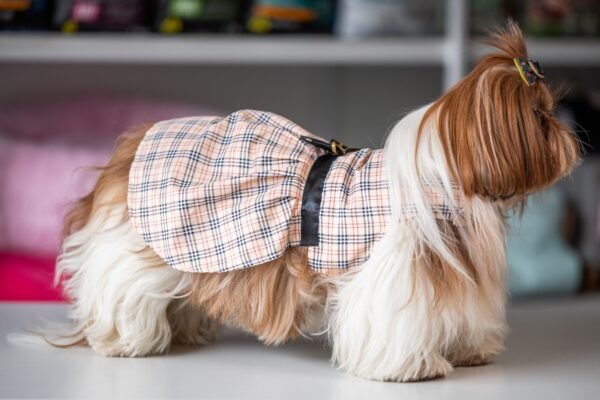 Vestido Fashion Burberry