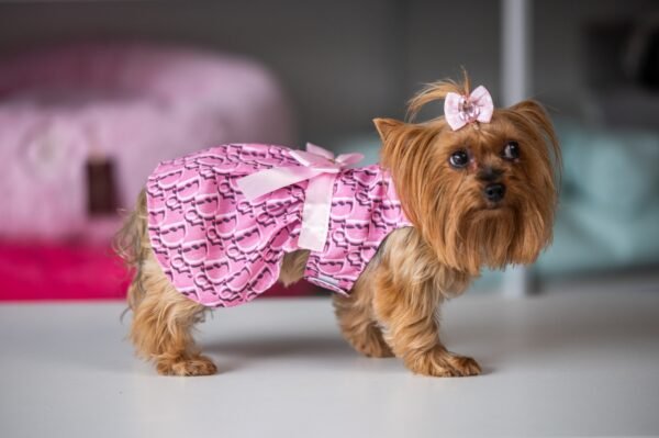 Vestido Fashion Dior