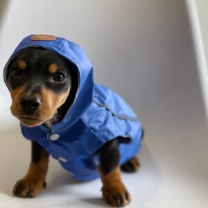 Capa de Chuva