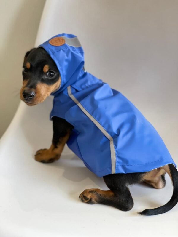Capa de Chuva - Imagem 2
