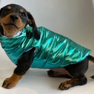 Jaqueta Puffer Metalizada