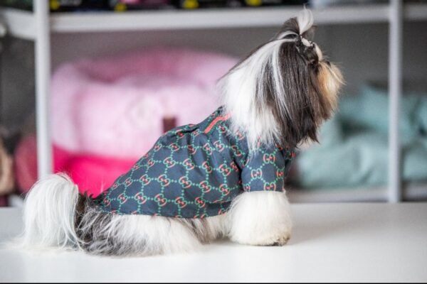 Camisa Fashion Gucci